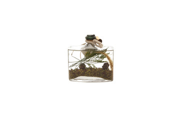 Spa oil in bottle isolated on white background