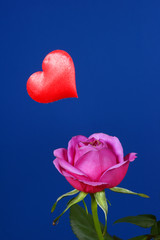 róża i serduszko na Walentynki