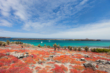 South plaza island