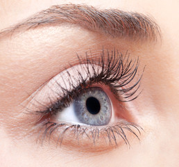 Fototapeta premium Woman eye