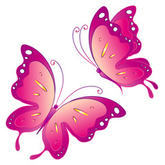 butterfly,butterflies vector