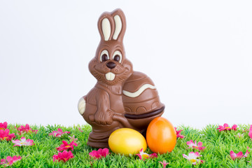 Osterhase mit Ostereiern auf Blumenwiese vor weißem Hintergrund