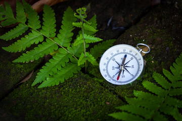 compass