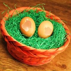 Osternest