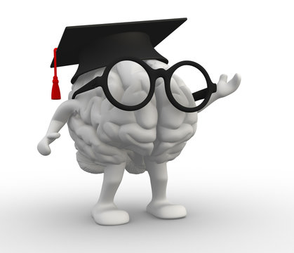 Brain