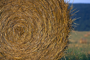 Golden bale close up