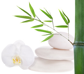 Fototapeta na wymiar kompozycja z białych kamieni, bambusa i orchidei