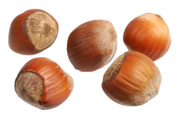 Hazelnuts, isolated