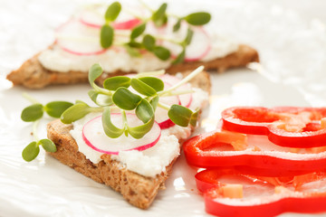 sandwiches with radish and sunflower sprouts