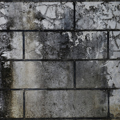 old grunge wal