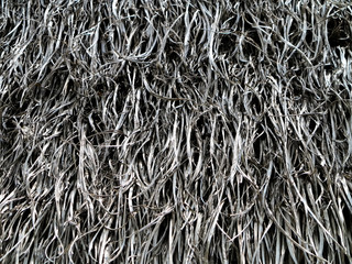 Old roots growing down