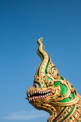 Fototapeta na wymiar Head oriental Serpent