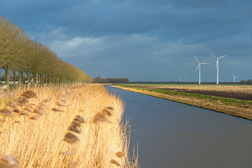 Sunlight and dark clouds over a canal in winter