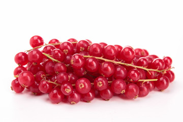 isolated redcurrant