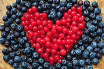 Heart of red currant on blueberry background