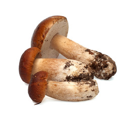 Mushrooms.