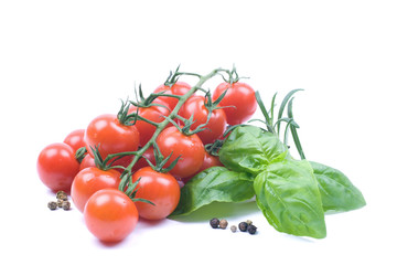 Fresh tomatoes with herbs and peppercorns