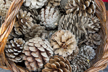 pinecones