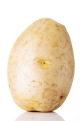 Potato