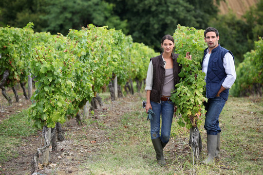 Couple posing in a vineyard