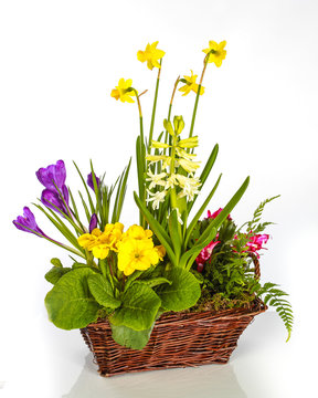 Frühlingsgesteck Images – Browse 41 Stock Photos, Vectors, and Video