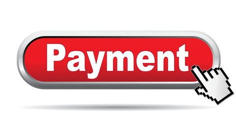 PAYMENT ICON