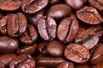 Coffee bean macro