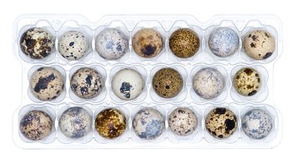 Obraz na płótnie Canvas Quail eggs in a box
