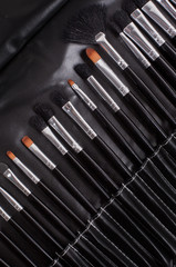 professional cosmetic brushes