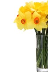 Papier Peint photo Narcisse beautiful yellow daffodils in transparent vase isolated on