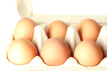 Many eggs in box close-up