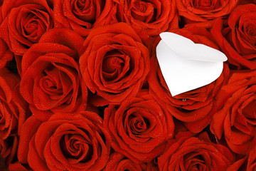 Red roses with a blank gift tag.
