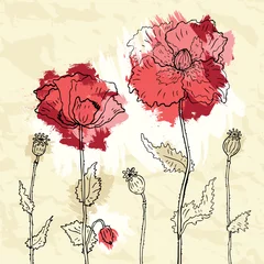 Fotobehang Abstracte bloemen Rode papavers op een verfrommeld papier achtergrond