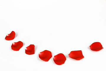 Rose petals isolated on white