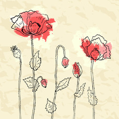 Rote Mohnblumen auf einem zerknitterten Papierhintergrund