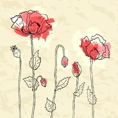 Fotobehang Abstracte bloemen Rode papavers op een verfrommeld papier achtergrond