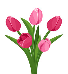 Bouquet of pink tulips. Vector illustration.