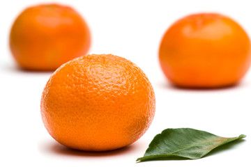 Tangerines and leaf