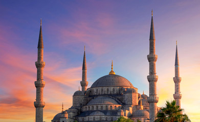 Fototapeta premium Istanbul - Blue mosque, Turkey