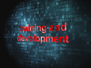 Fototapeta premium Education concept: Training and Development on digital backgroun
