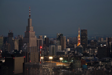 Fototapeta premium tokyo tower, stadium and main buildings