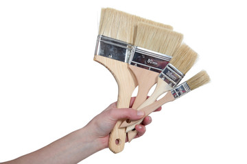 brushes