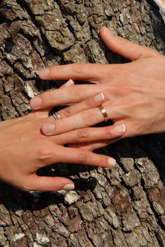 mains entrelacées alliances mariage