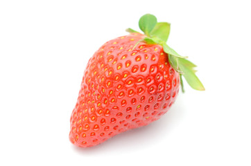 いちご　一個　白バック