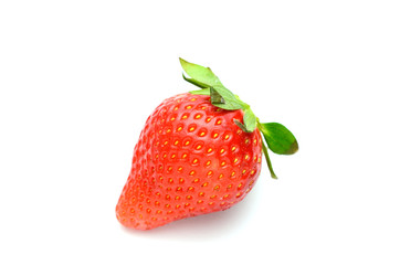 いちご　一個　白バック