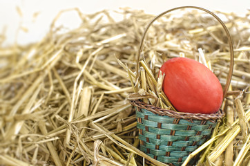 Easter basket with red egg
