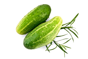 Cucumber with tarragon