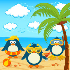 Penguins on the beach vector