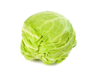 Fototapeta premium cabbage isolated