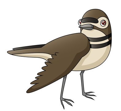 recommend clip art: Cartoon Killdeer Faking a Broken Wing